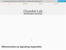 Tablet Screenshot of chandellab.com